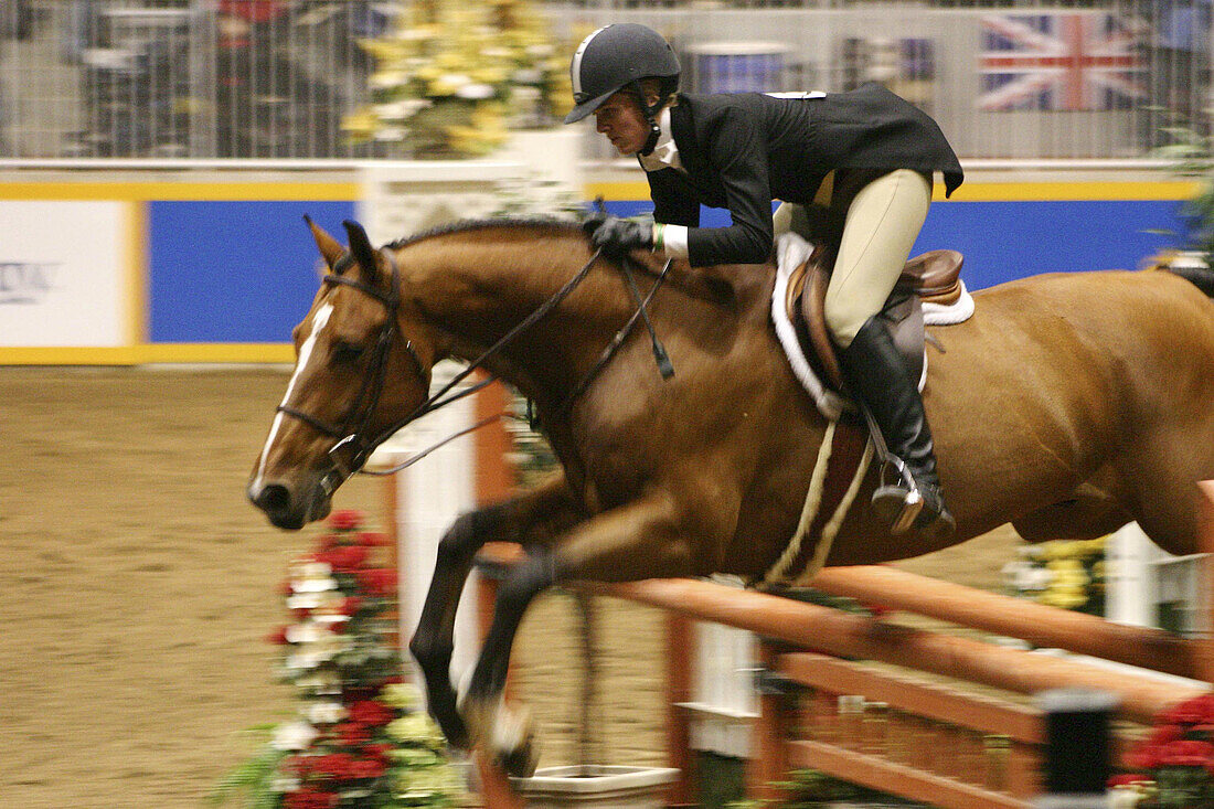 Ability, Action, Activity, Adult, Adults, Animal, Animals, Blurred, Caucasian, Caucasians, Color, Colour, Competition, Competitions, Competitor, Competitors, Contemporary, Contest, Contests, Equitation, Full-body, Full-length, Horizontal, Horse, Horseback