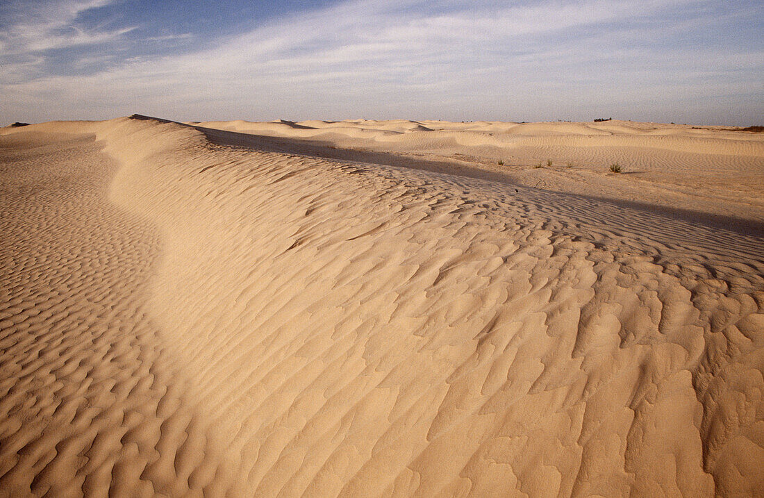 Long sand dune formation. Zafrane, Tunisia