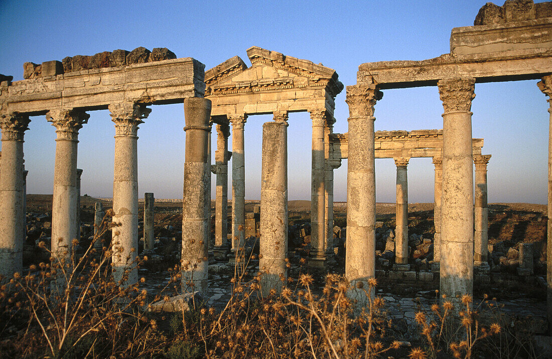 Ruins of Apamea (founded 2nd century B.C., rebuilt after earthquake 115 B.C.). Syria