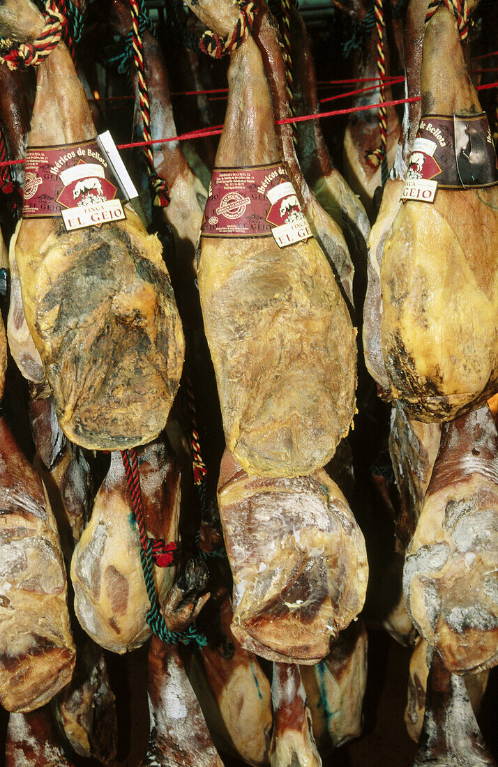 Pata negra hams. Salamanca province, Spain