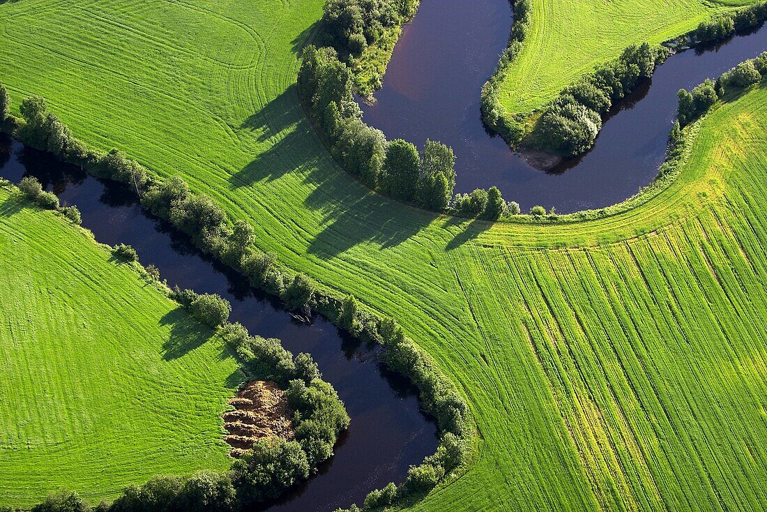 Miandring river in agricultural landscape. Kåge river. Västerbotten. Sweden