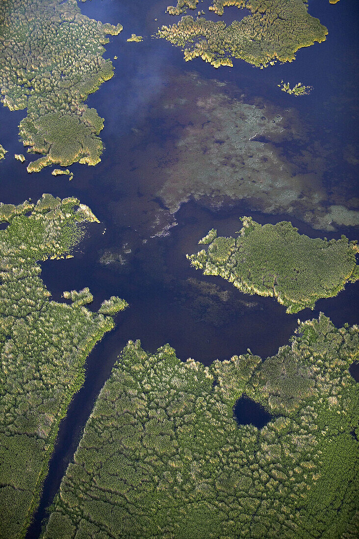 Reeds in bird lake, aerial view. Tåkern. Östergötland. Sweden