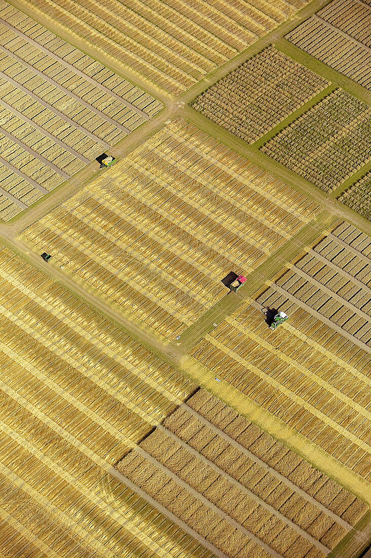 Agricultural test area, aerial view. Skåne. Sweden.