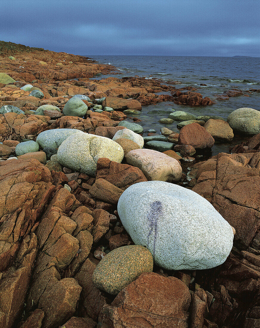 Coast. Highland coast, stones. Ångermanland. Sweden.