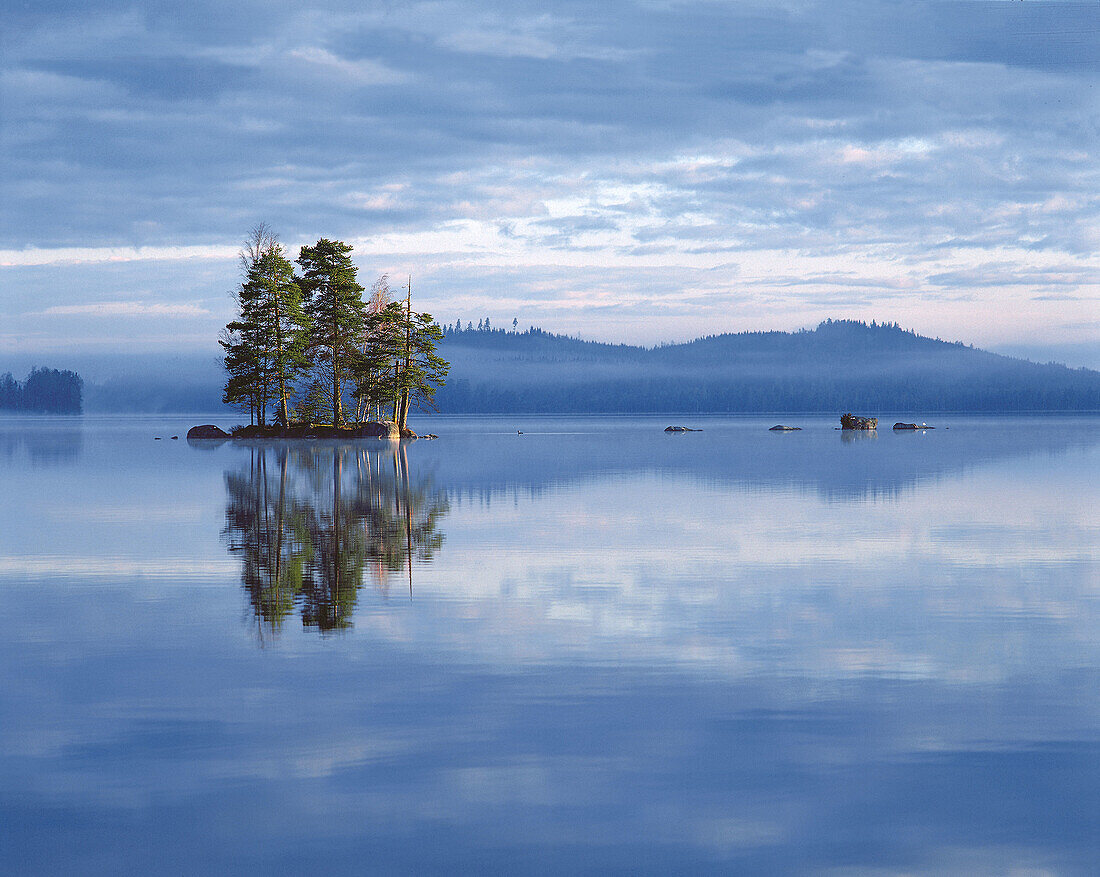 Island in lake, morning, water, (Pinus sylvestris), landscape. Västmanland. Sweden.