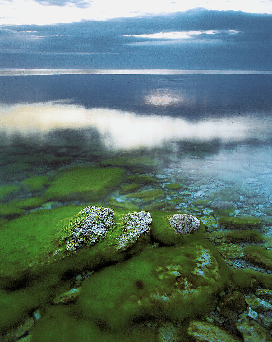 Stones in the sea, coastline in summer. Gotland. Sweden.