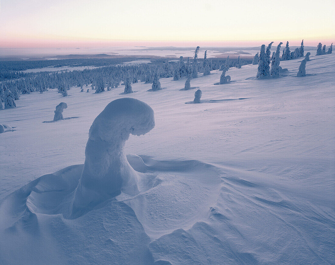 Riisitunturi National Park.Finland.