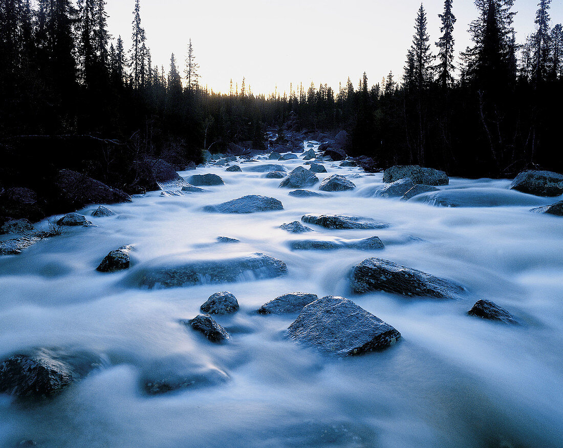 Rivers and  Streams. Karsbäcken. Lappland. Sweden.