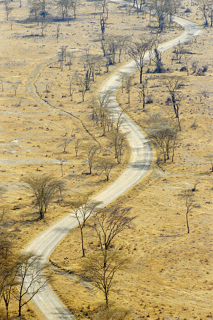 Dirt road, savanna. Lake Nakuru nationalpark. Kenya