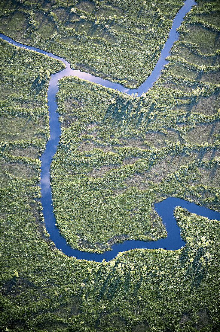 Meandring river in weetland, aerial view. Lappland, Sweden