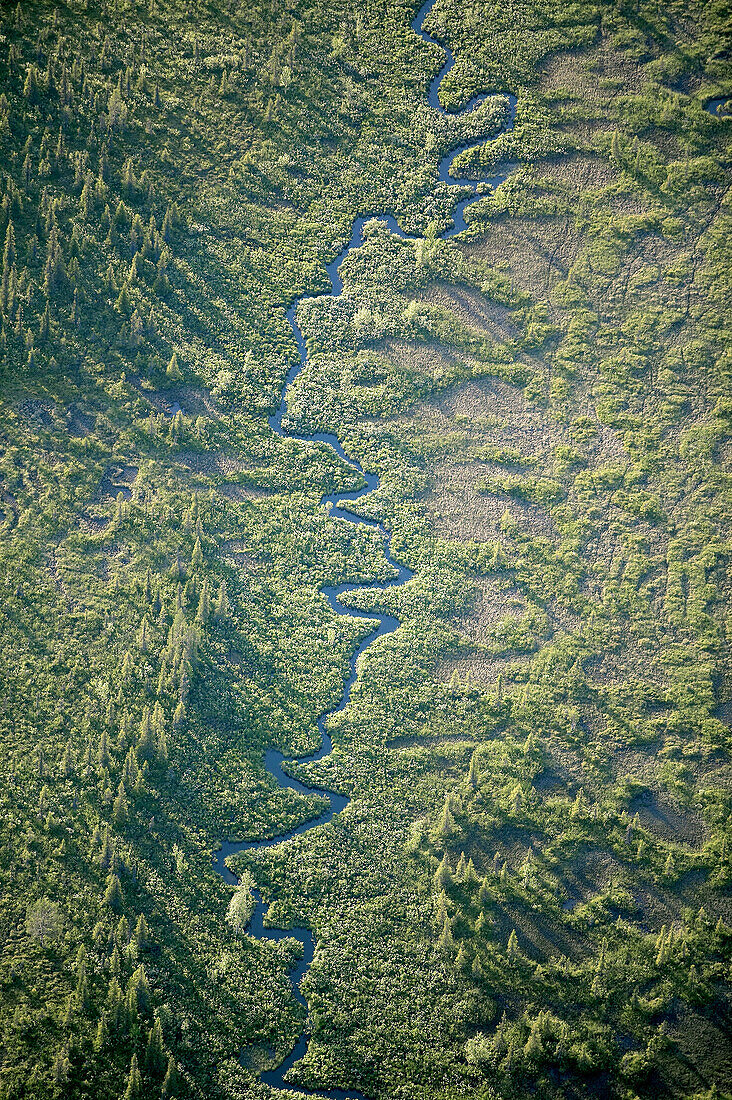 Meandring river in wetland, aerial view. Lappland, Sweden