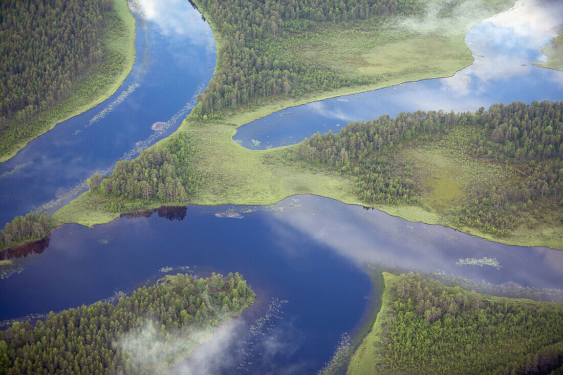 Rivers in forest area, aerial view. Jämtland, Sweden.