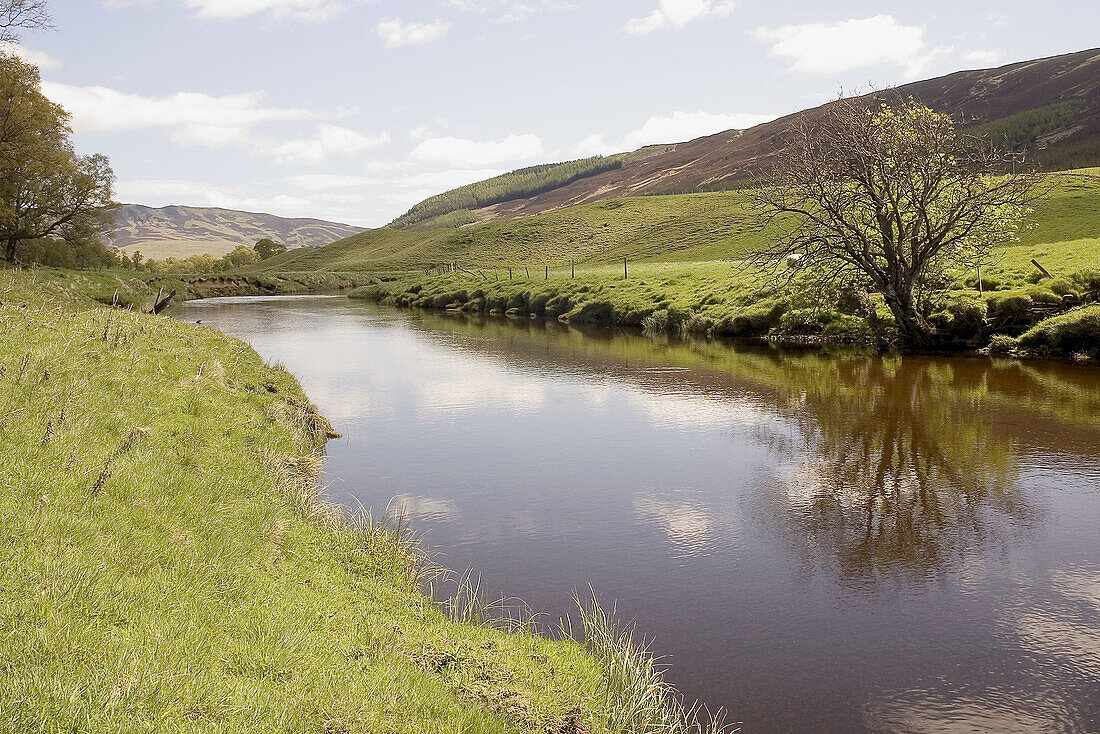 Sheep pastures by the River Clova in Glen Clova. Angus, Scotland