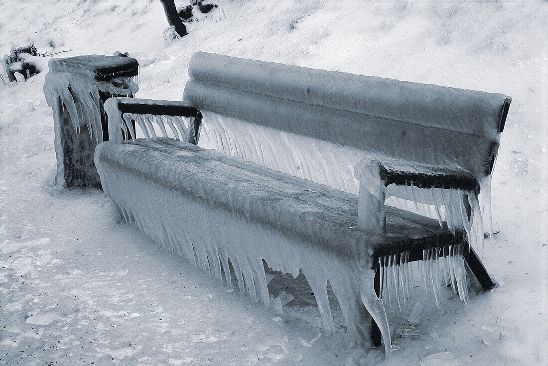 The bench is covers by cressets in a cold winter day