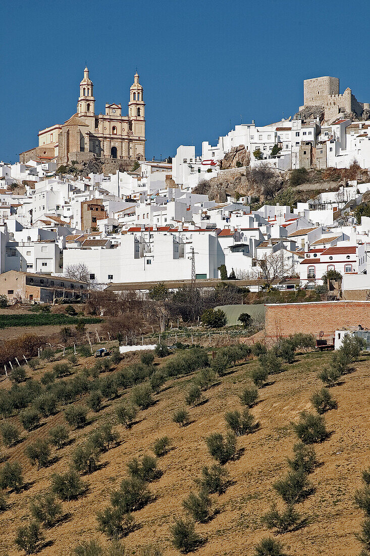 Olvera. Cádiz province, Andalusia, Spain