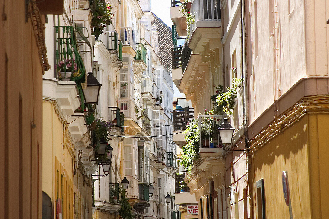 Virgili street. Cádiz. Andalucía. Spain.