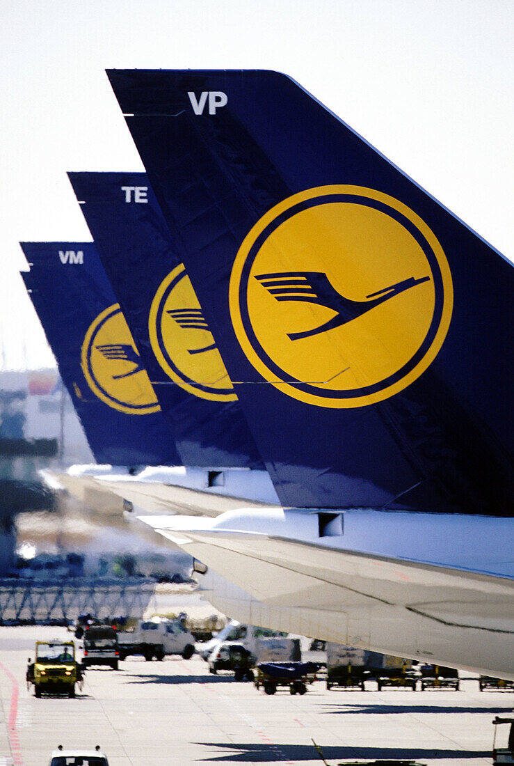 Lufthansa airplanes in the Frankfur Airport, Germany