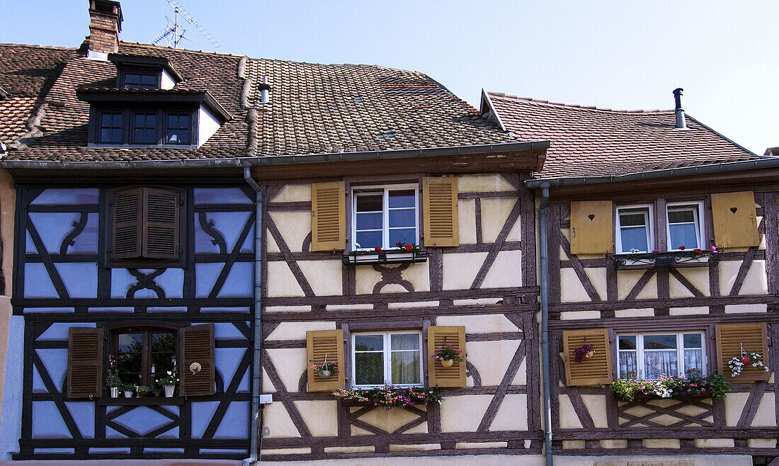 Half-timbered houses in Colmar. Alsace, France