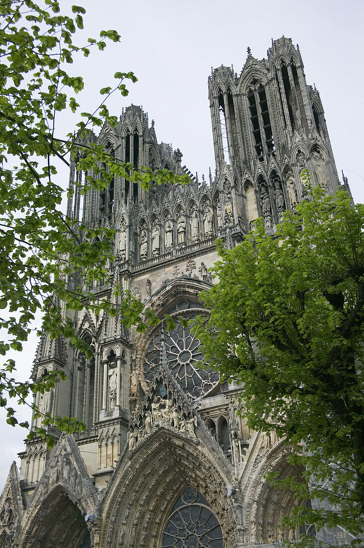 Cathedral. Reims. France.