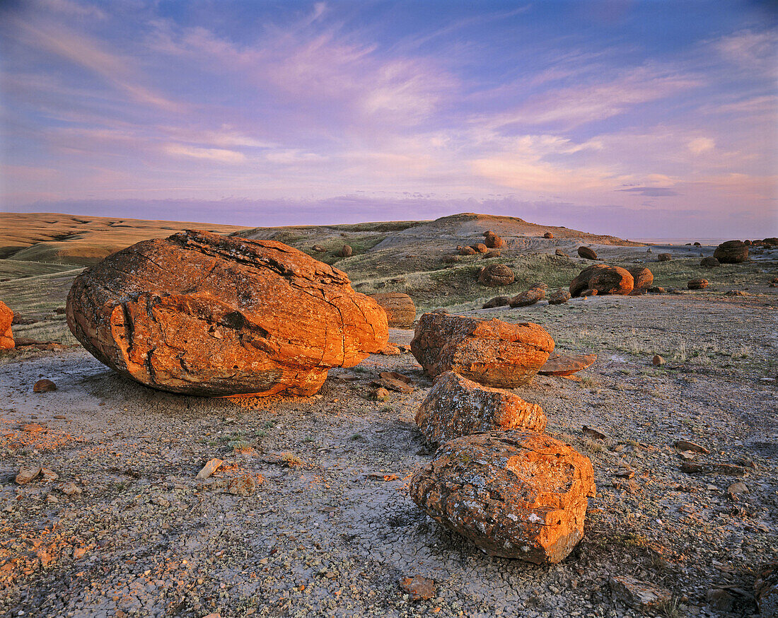 Mineral Concretions. Red Rock Coulee Natural Area. Alberta. Canada