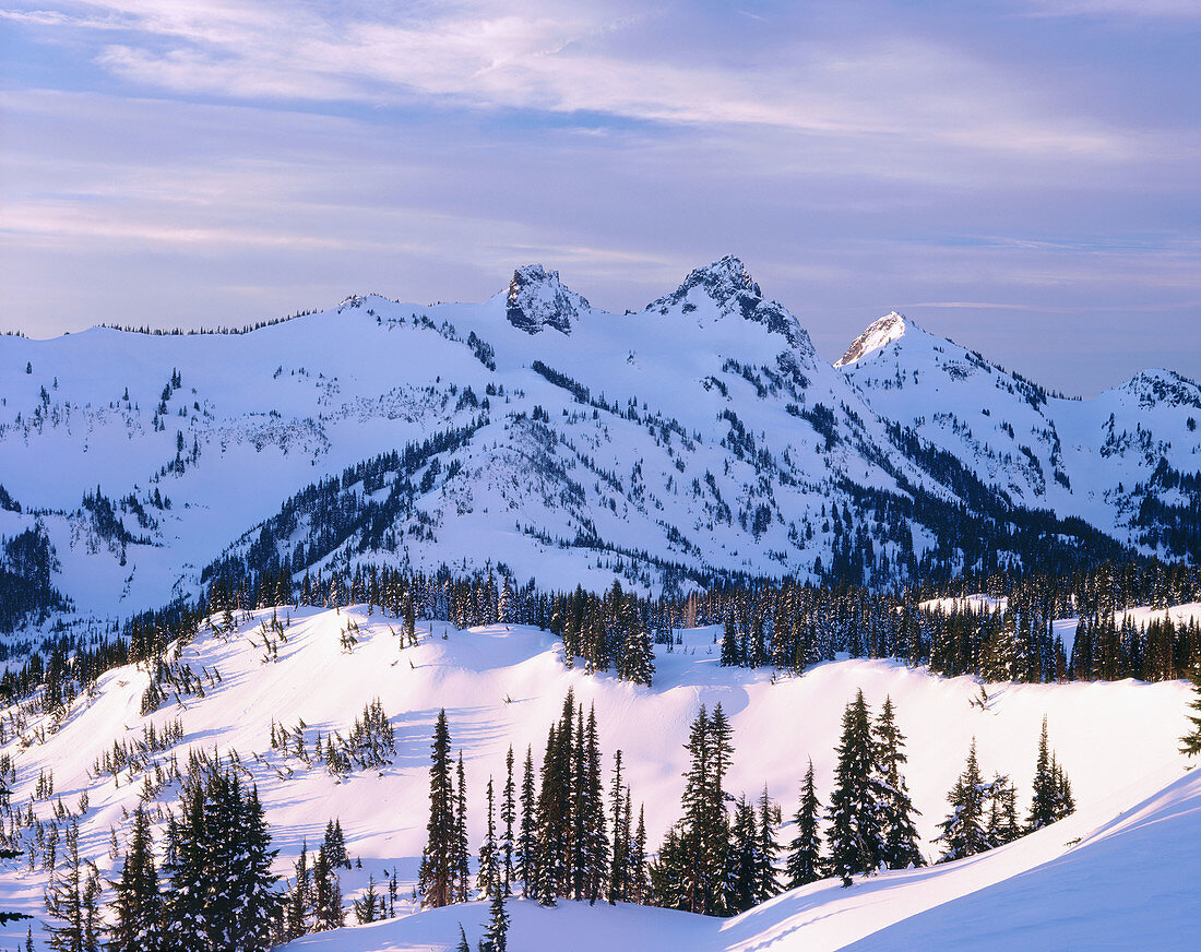 Winter morning on Mazama Ridge and the Tatoosh Range. Mount Rainier National Park. Washington. USA.