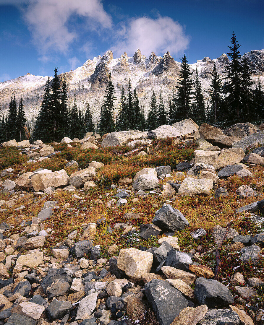 Fall snow on Kangaroo Ridge. North Cascades. Washington. USA.