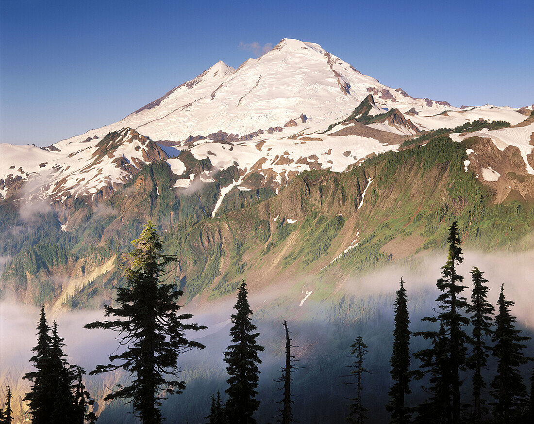 Mount Baker. North Cascades. Washington. USA.