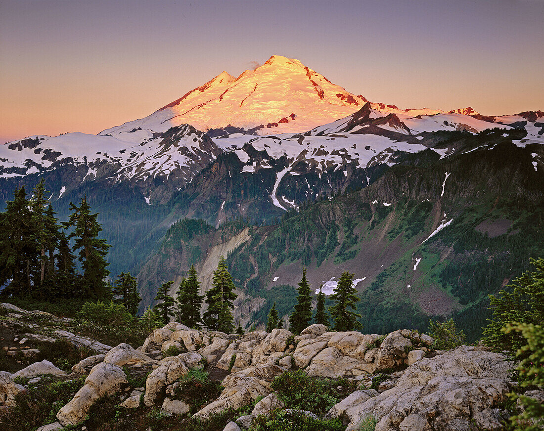 Dawn on Mount Baker from Kulshan Ridge. Heather Meadows Recreation Area. Washington. USA.