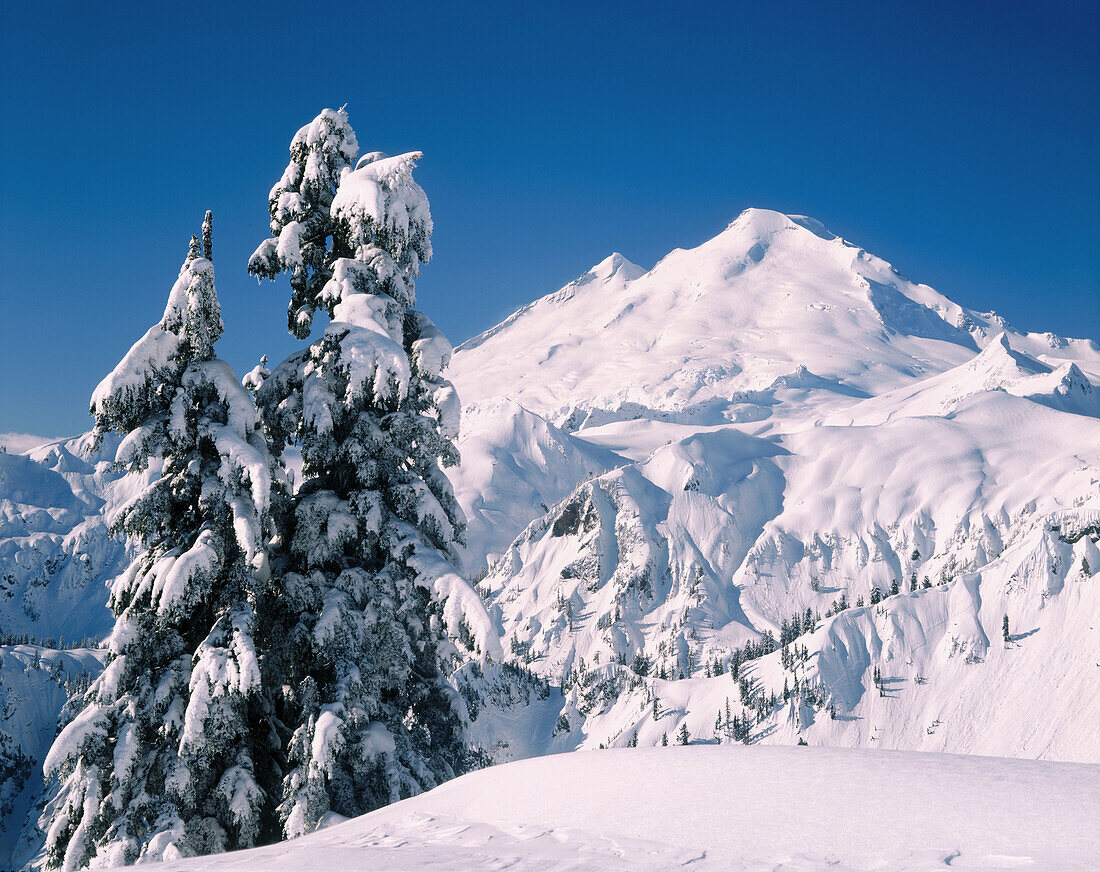 Mount Baker from Kulshan Ridge in winter. Heather Meadows Recreation Area. Washington. USA.