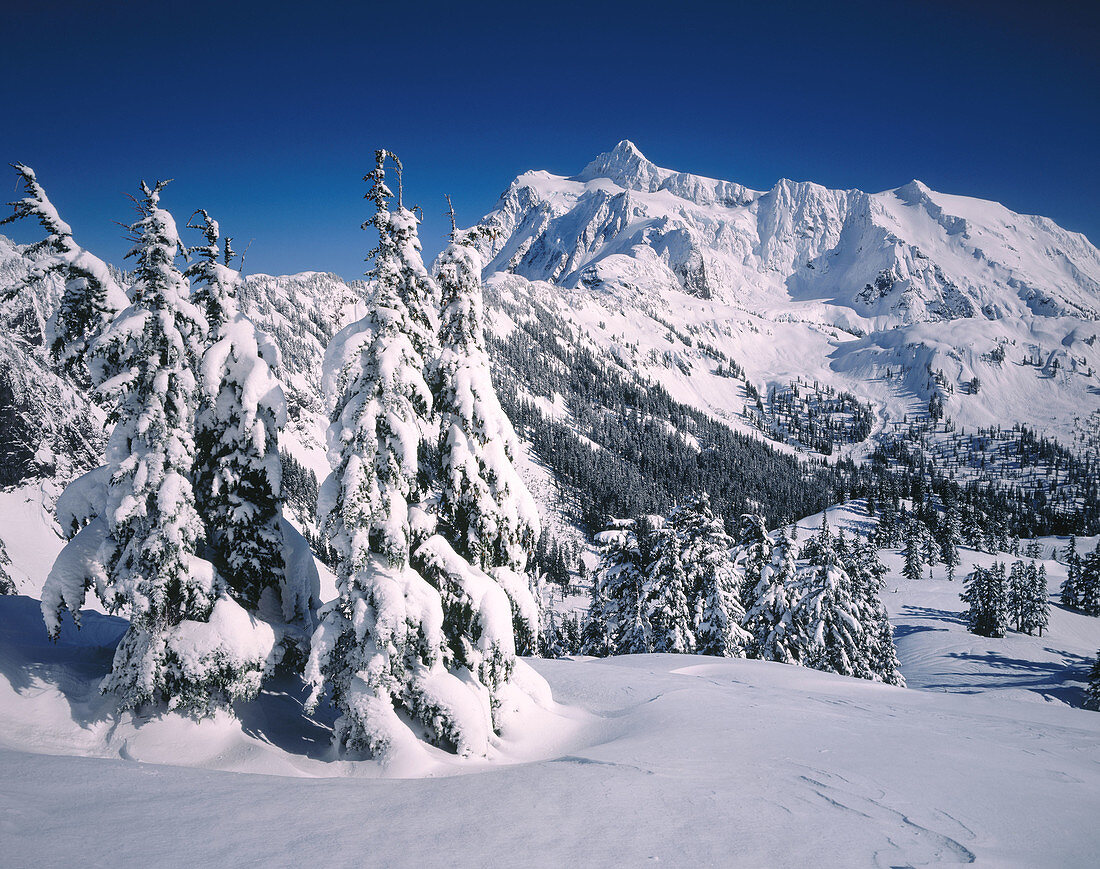 Mount Shuksan in winter from Kulshan Ridge. North Cascades National Park. Washington. USA.