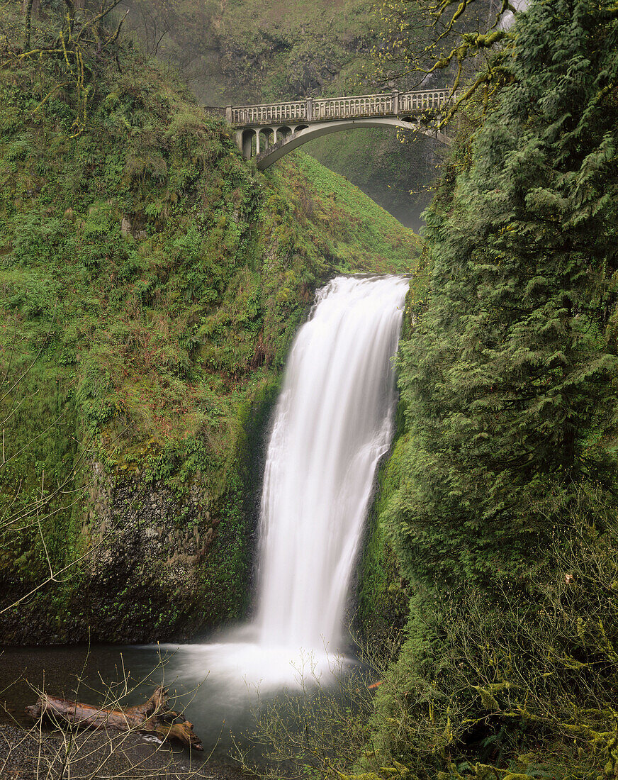 Multnomah Falls. Columbia River Gorge National Scenic Area. Oregon. USA.