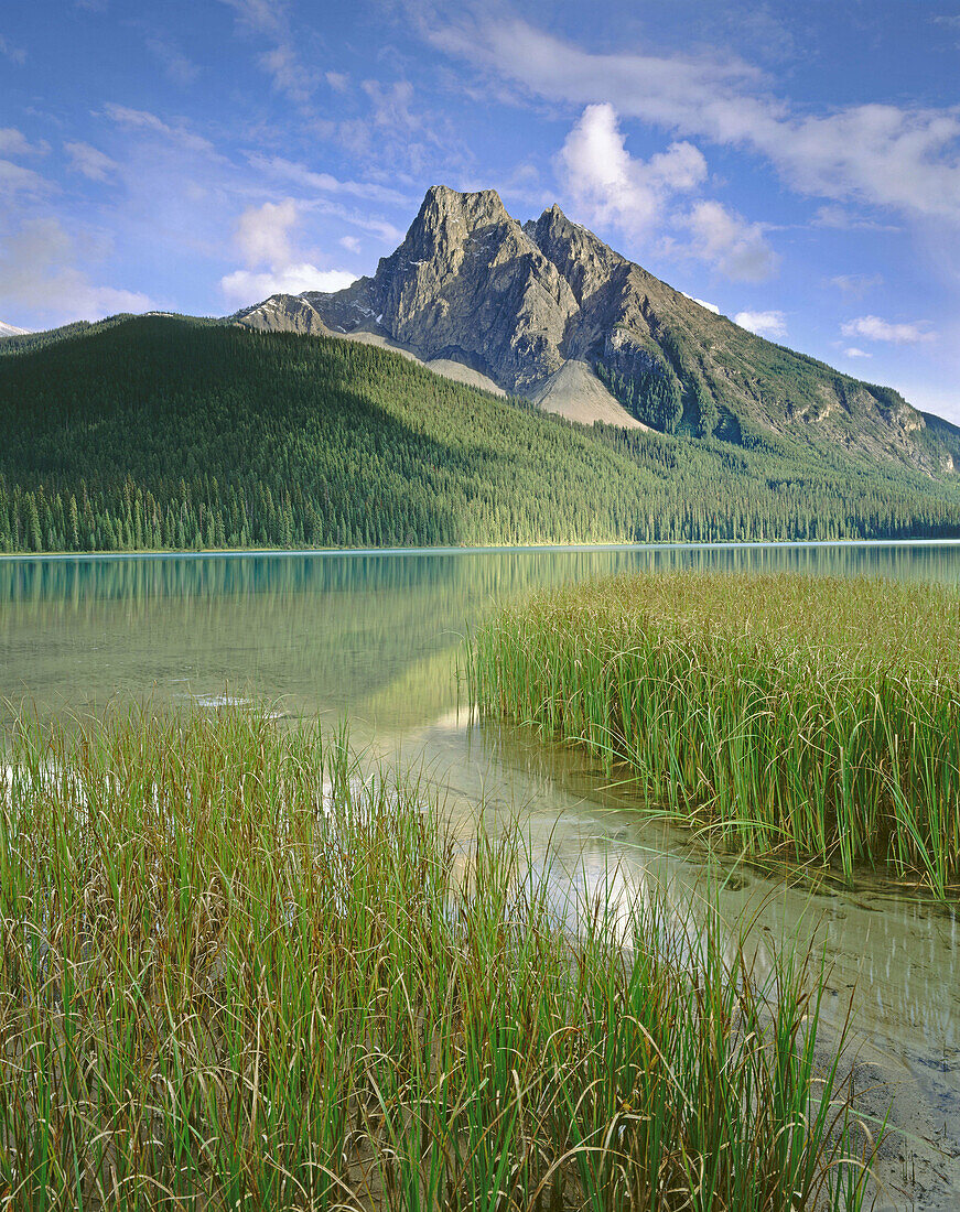 Emerald Lake, Yoho National Park. British Columbia, Canada