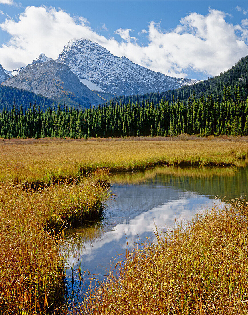 Commonwealth Peak from wetlands of Smuts Creek. Kananaskis Country, Alberta, Canada