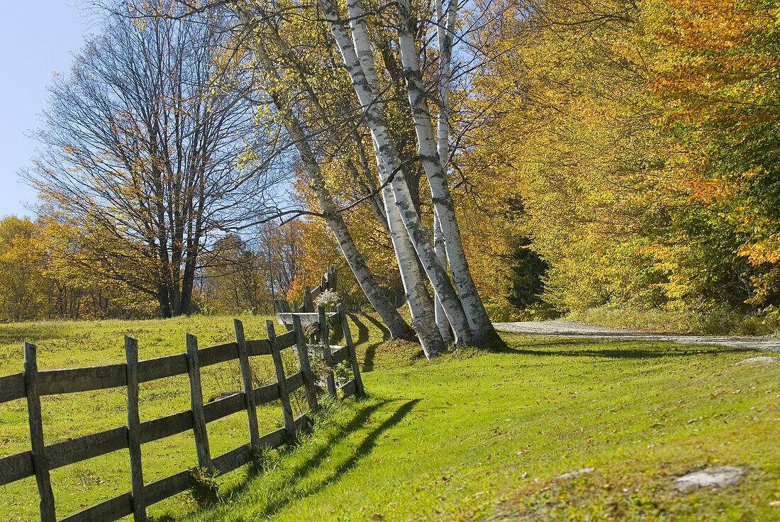 America, Autumn, Blue, Classic, Color, Colour, Countryside, Fall, Fence, Golden, Grass, Green, Horizontal, Leaves, Morning, New england, Pastures, Roads, Rural, Sunny, Trees, United States, United States of America, USA, Vermont, Yellow, M28-582668, agefo