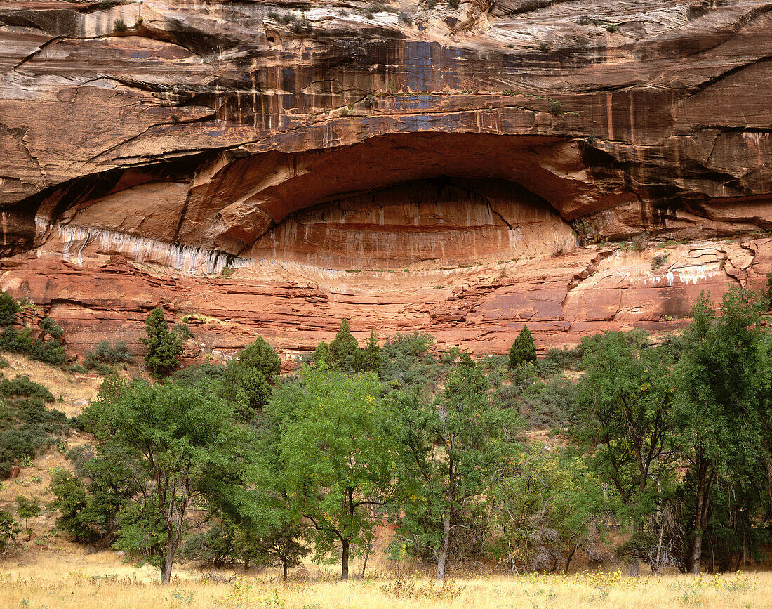 Zion National Park. Utah. USA