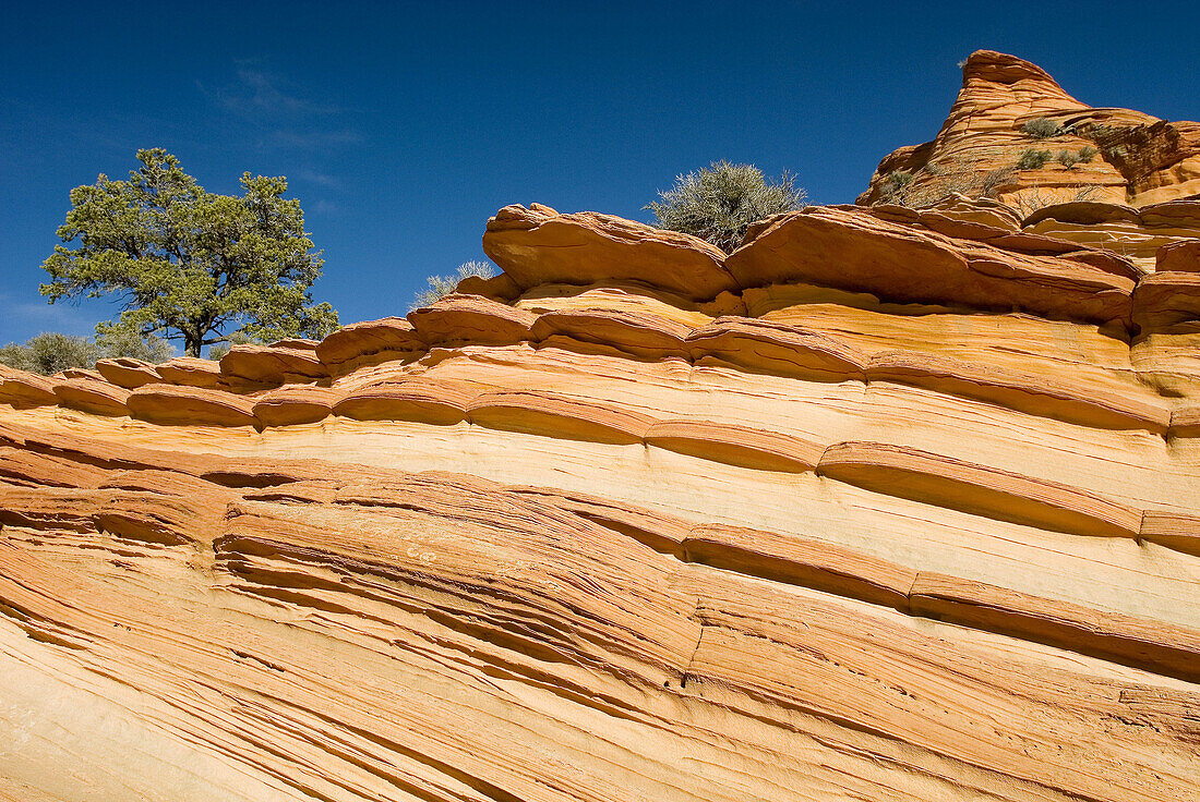 Sandstone rock formations, South Coyote Buttes, Paria Canyon-Vermillion Cliffs Wilderness. Arizona, USA