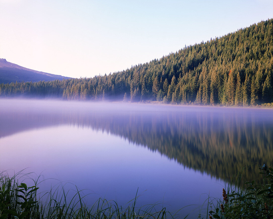 Trillium Lake. Oregon. USA