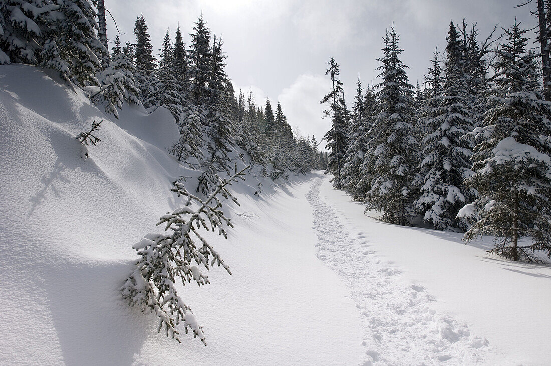 Monts-Valin national park. Saguenay, Quebec, Canada.