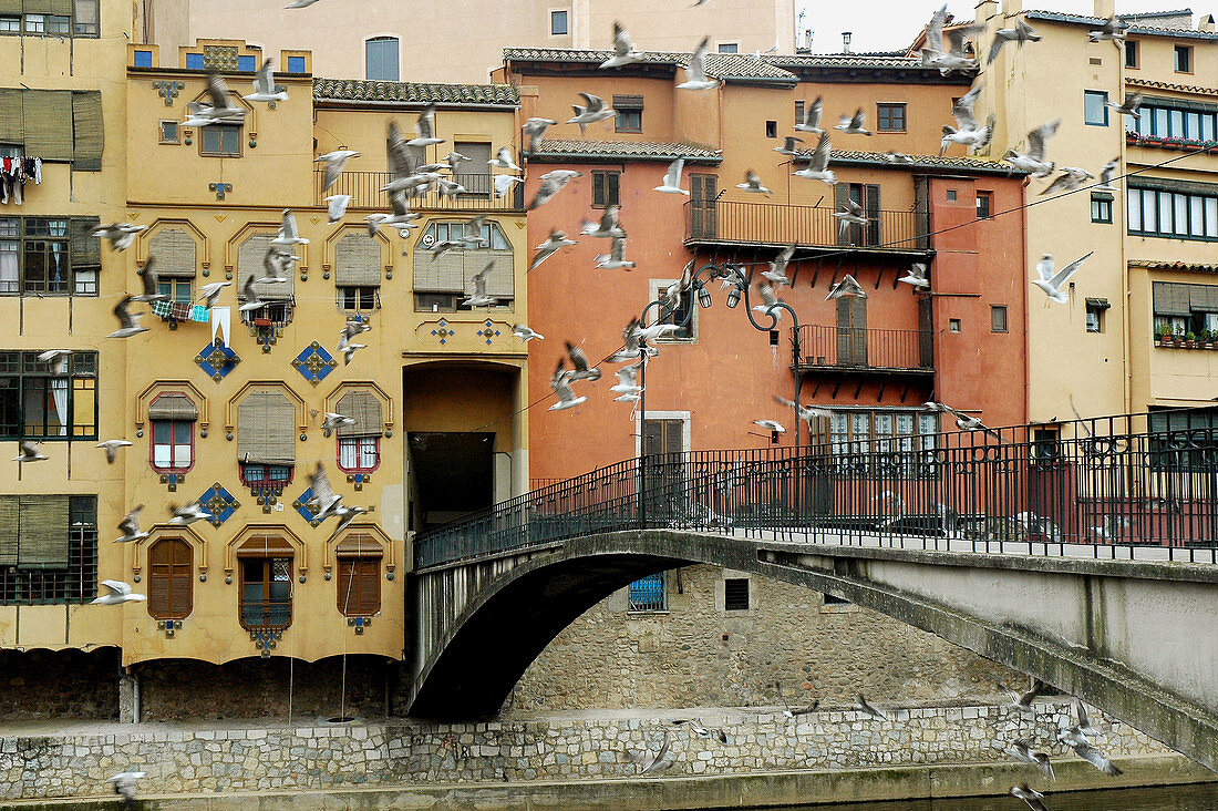 Houses. Onyar river. Girona. Catalunya (Spain)