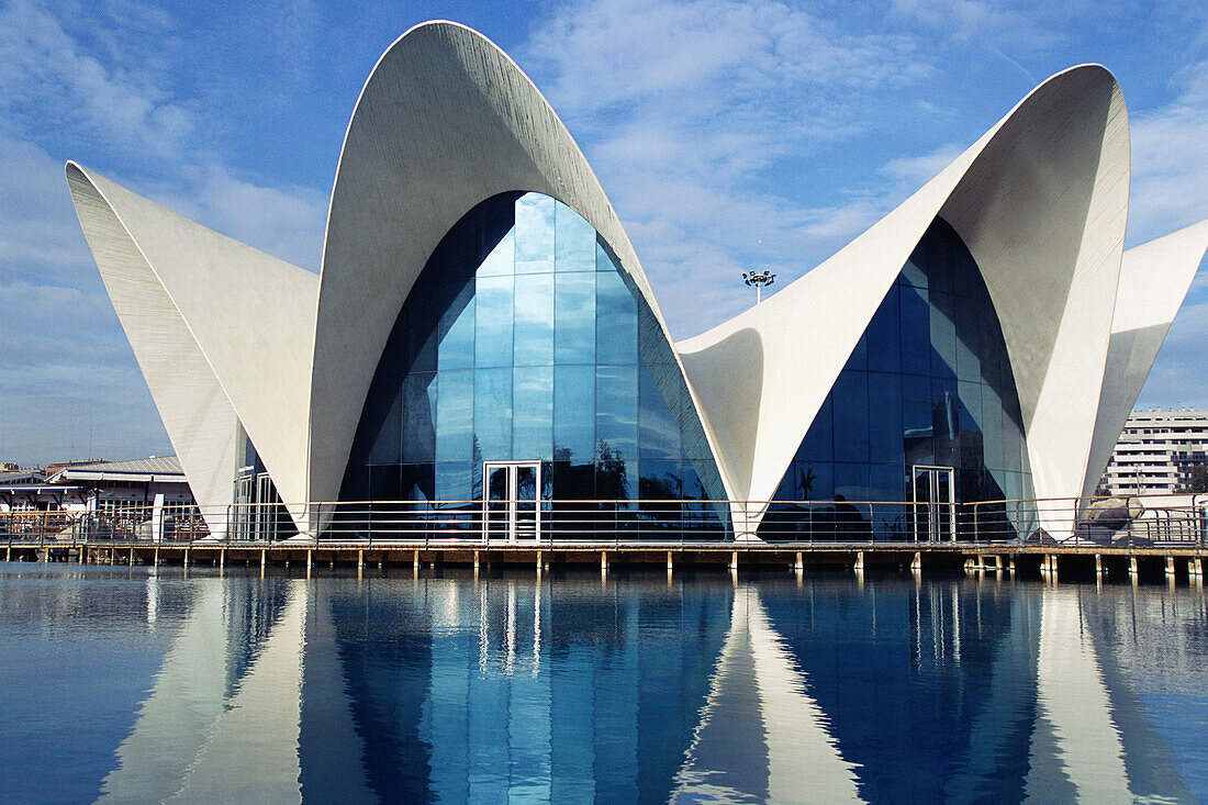 LOceanogràfic. Ciudad de las Artes y las Ciencias. Valencia. Spain.