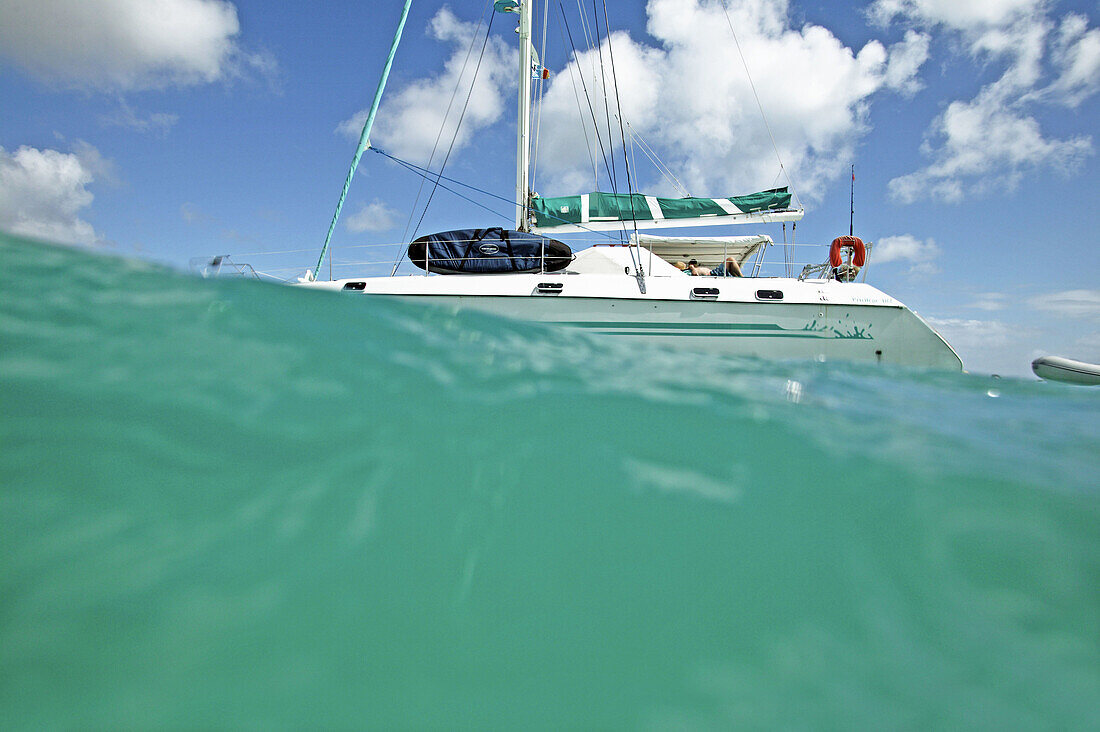 View of a catamaran from the water