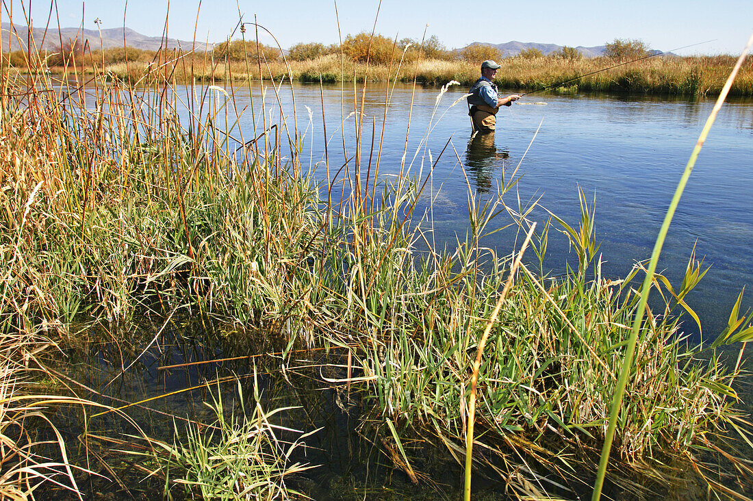 Man fly fishing. Silver Creek, Idaho. USA