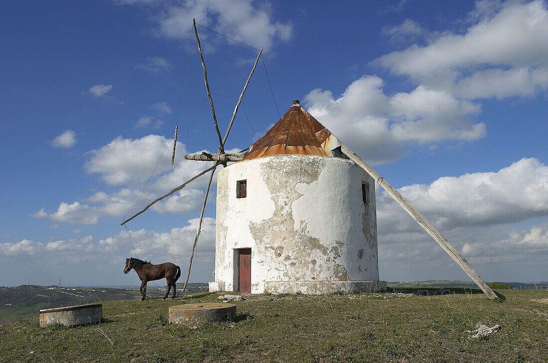 Windmill, Vejer de la Frontera. Cádiz province, Andalusia, Spain