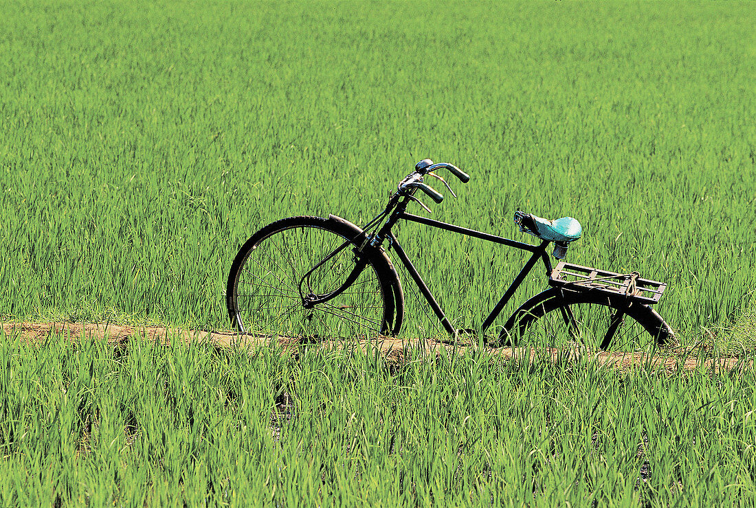 Alt, Altmodisch, Aussen, Außen, Eins, Fahrrad, Fahrräder, Farbe, Feld, Felder, Freizeit, Grün, Hobby, Hobbys, Horizontal, Konzept, Konzepte, Land, Ländlich, Ruhe, Tageszeit, Verkehrsmittel, Verlassen, M50-354301, agefotostock