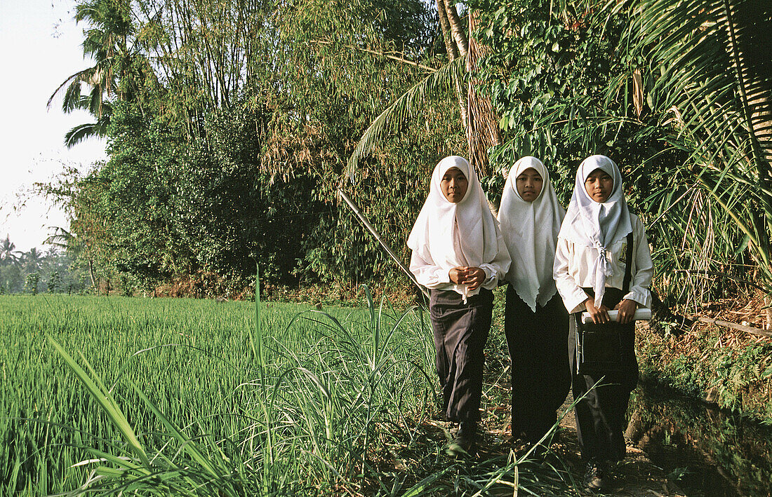 Young muslim girls on the way to school. Java, Indonesia