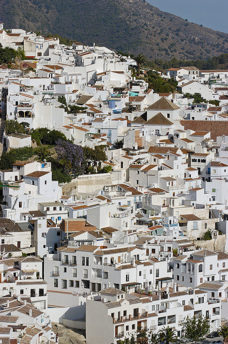 Frigiliana. Axarquía mountains region, Málaga province. Andalusia, Spain