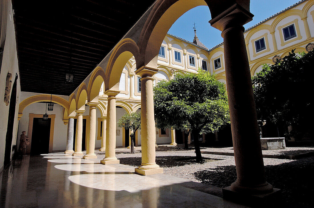 Courtyard with tuscan columns of the Episcopal Palace restored in the 17th century, Córdoba. Andalusia, Spain