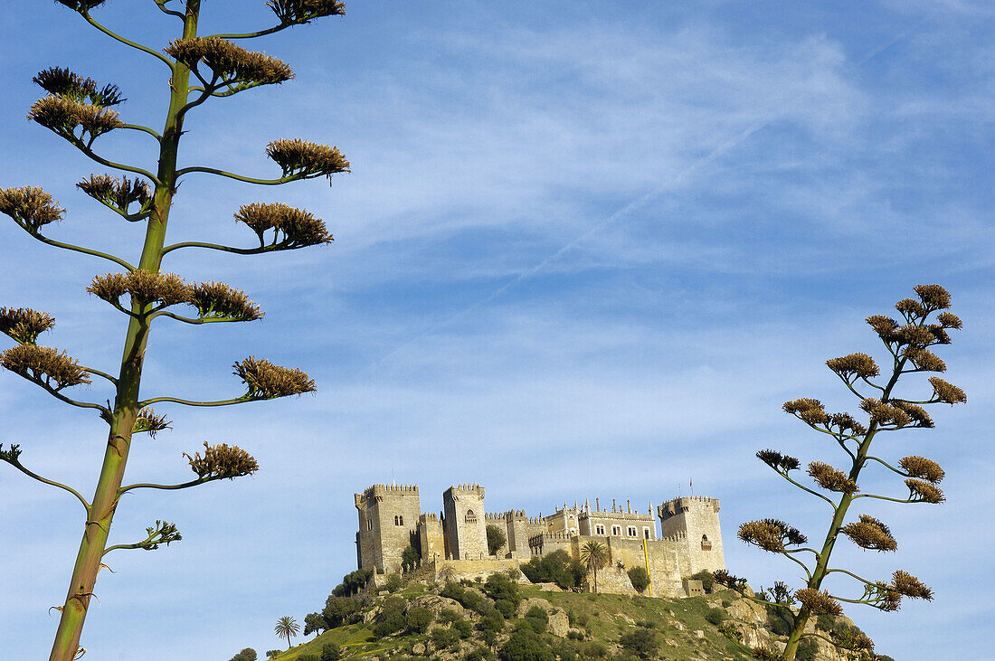 Castle of Almodóvar del Río. Córdoba province, Andalusia. Spain