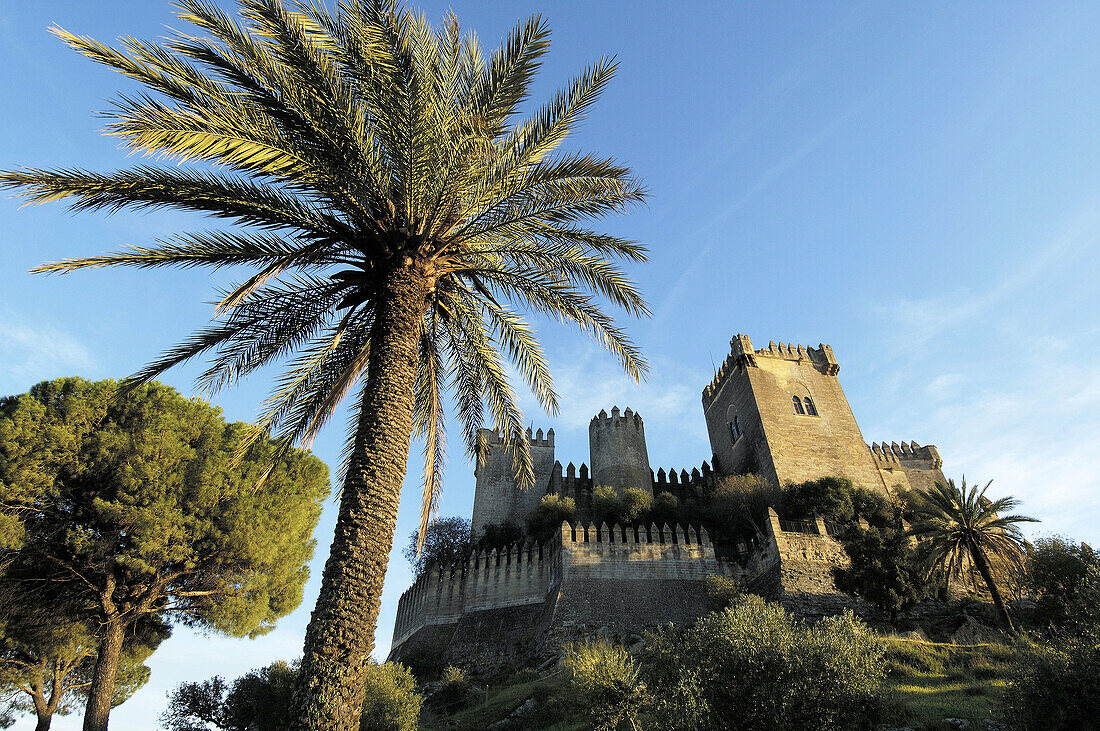 Castle of Almodóvar del Río. Córdoba province, Andalusia. Spain