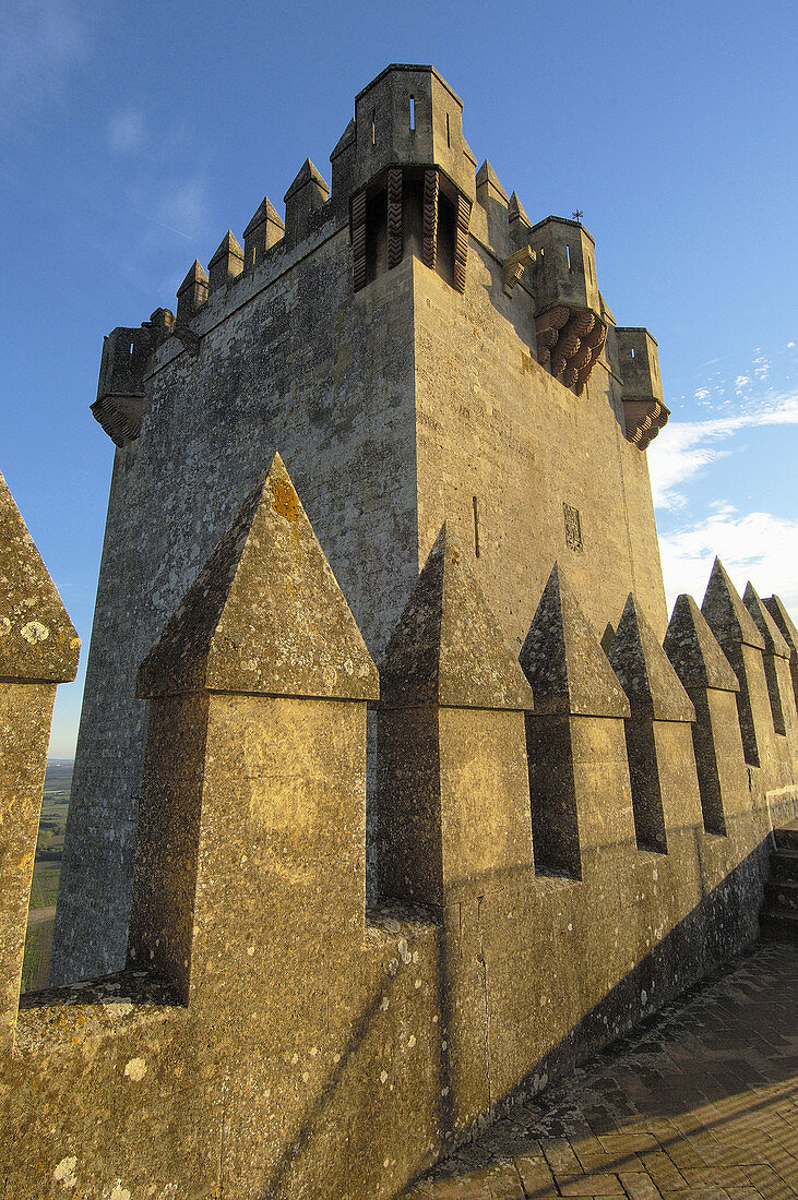 Castle of Almodóvar del Río. Córdoba province, Andalusia. Spain